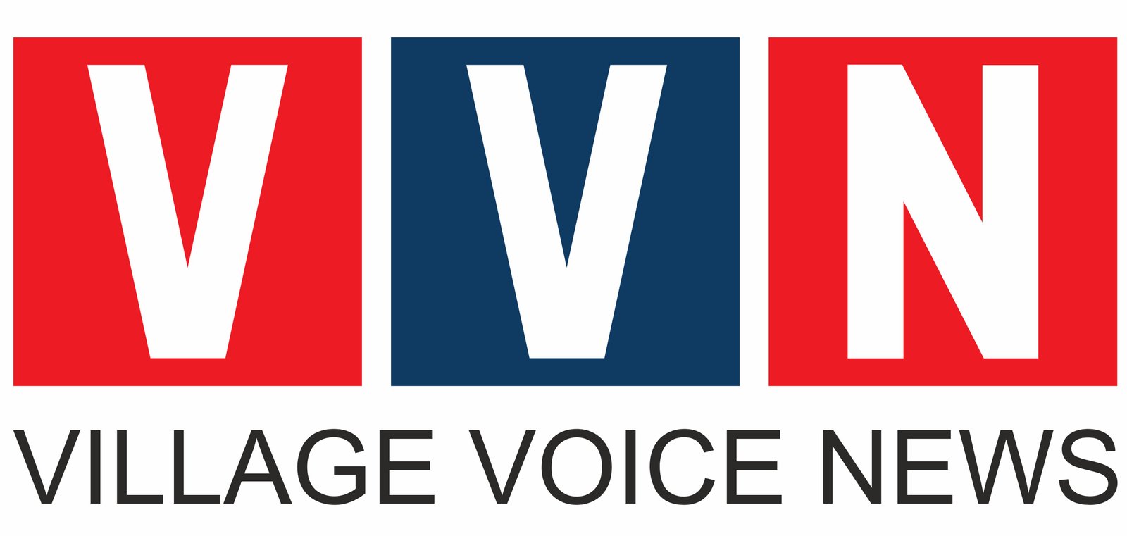 VILLAGE VOICE NEWS (DIGITAL NEWSPAPER)